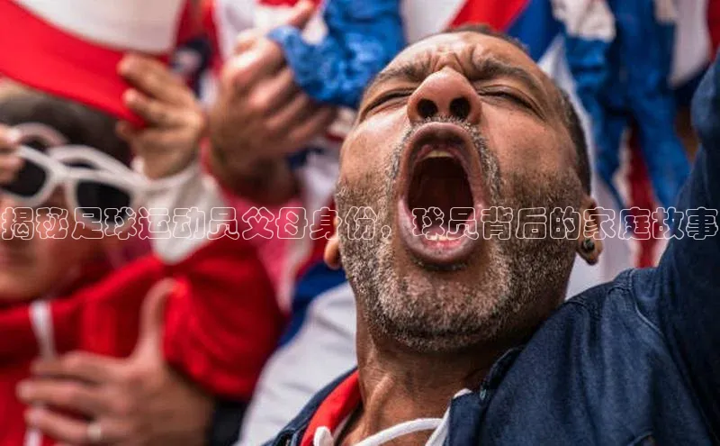 非凡游戏官方网址入口元隆雅图揭秘足球运动员父母身份，球员背后的家庭故事