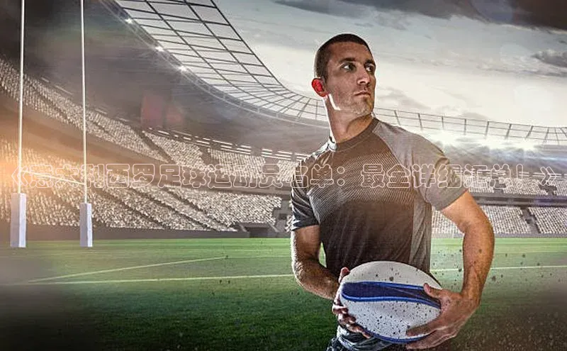 非凡娱乐app轻美电器《意大利西罗足球运动员名单：最全详细汇总！》