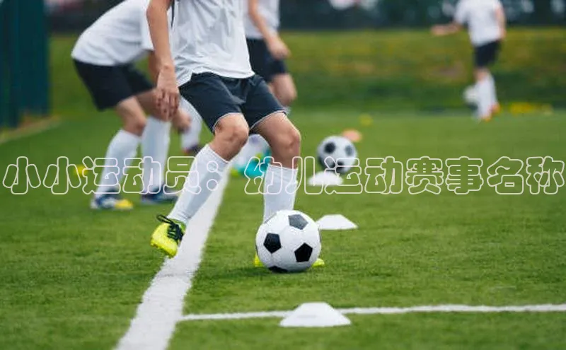 非凡游戏app官网进入极氪智能科技小小运动员：幼儿运动赛事名称