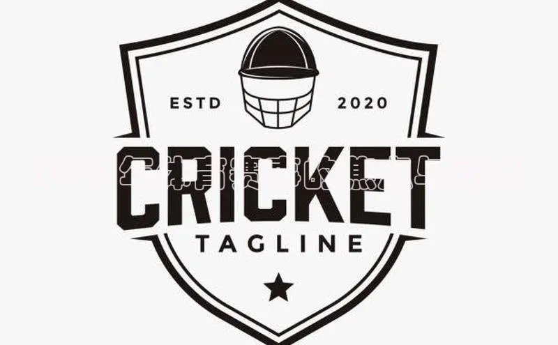 2023年体育赛事的焦点与亮点