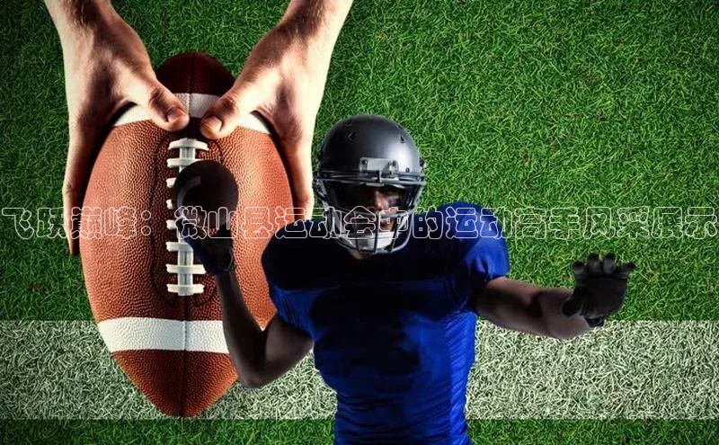 飞跃巅峰：微山县运动会中的运动高手风采展示