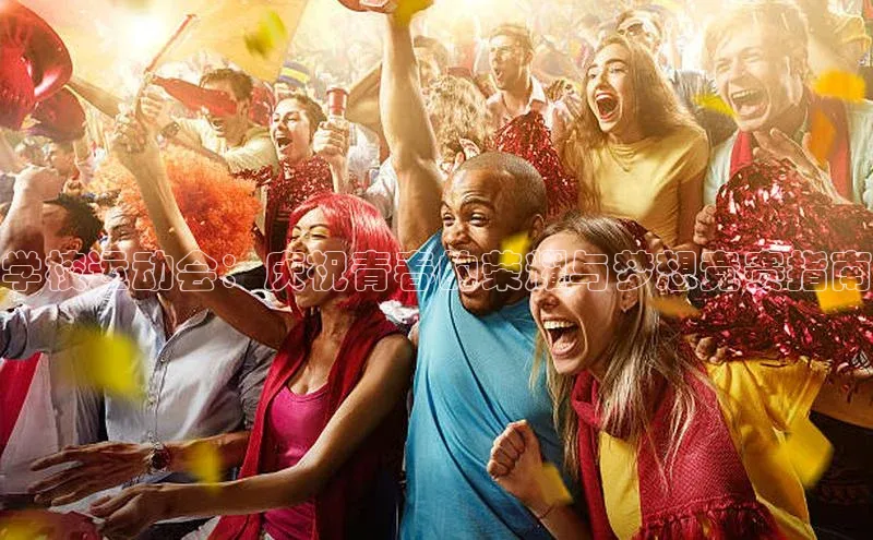 学校运动会：庆祝青春的荣耀与梦想竞赛指南