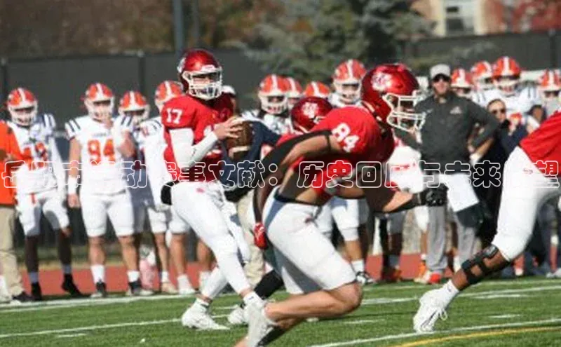 岳阳市运动赛事文献：历史回顾与未来展望