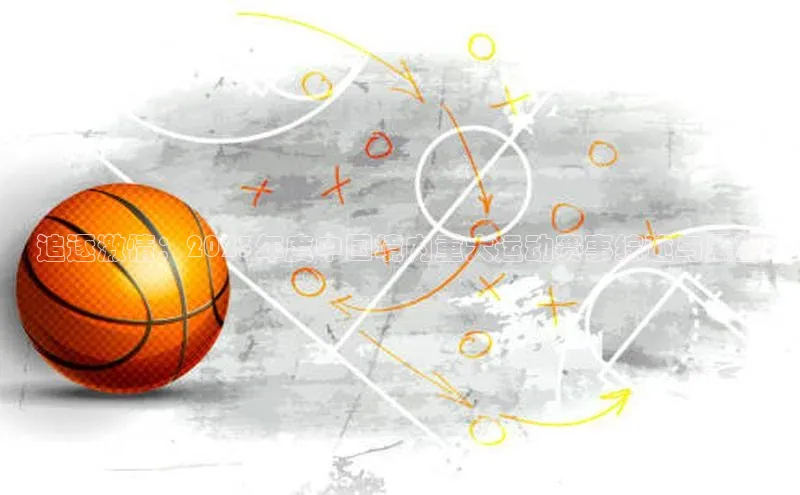 追逐激情：2023年度中国境内重大运动赛事综述与展望