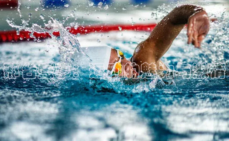 邢台盛事：运动的魅力与激情