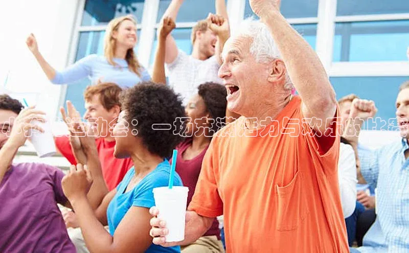 小狗的运动会：一场充满活力与欢乐的比赛