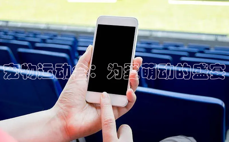 宠物运动会：为爱萌动的盛宴