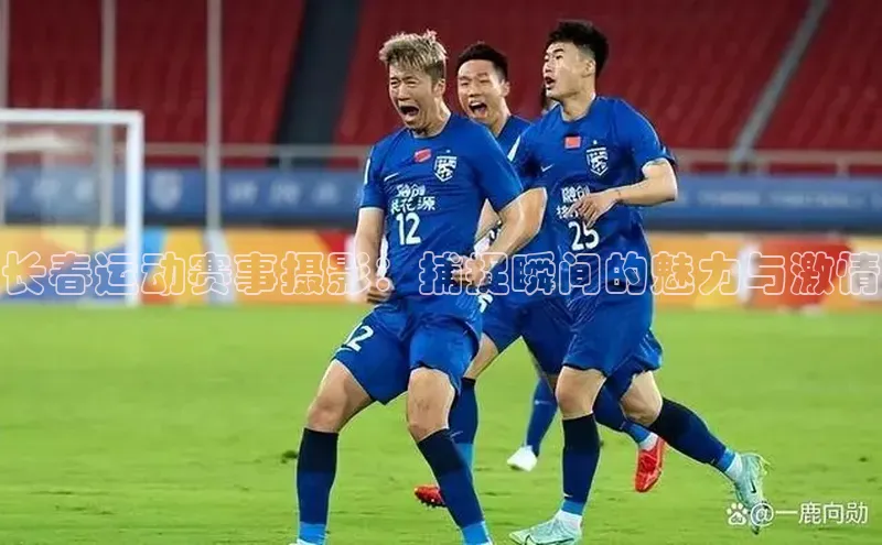 非凡体育官网入口