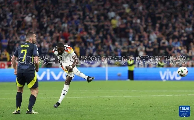 非凡体育2121app官网版